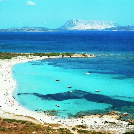 Casa Marisa * San Teodoro (Sardinia)